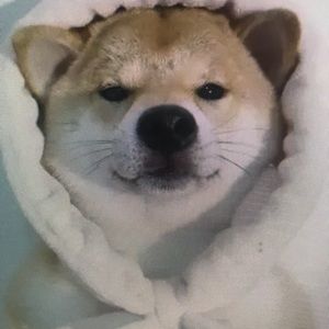 Meet your Posher, Jamal